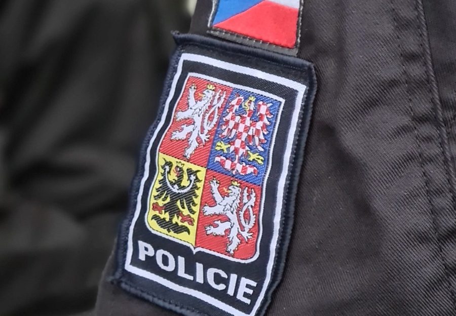 Česká obec sokolská žádá o vrácení více než 8 milionů z pozůstalosti po Elišce Colding