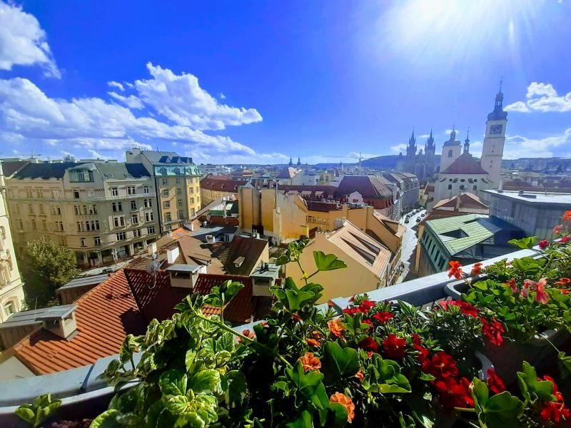 obrázek: Ceny nájmů v Praze od začátku roku 2020 klesly o 2,6 %, v průměru stojí metr čtvereční 300 korun