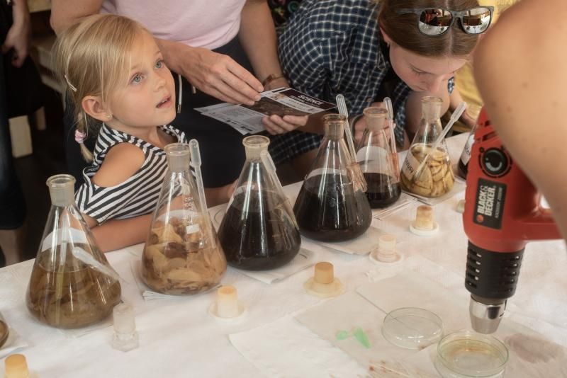 obrázek: Druhý ročník Science festivalu v pražské Gutovce představí zábavnou vědu