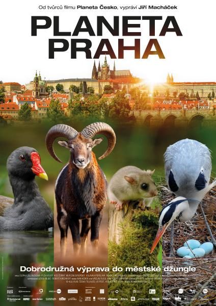 obrázek: Film Planeta Praha vstupuje do kin. Snímek podpořilo i hlavní město Praha