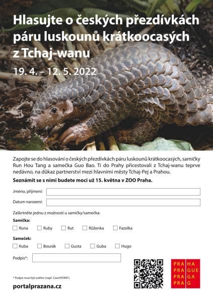 obrázek: Hlasovat o českých přezdívkách páru luskounů krátkoocasých z Tchaj-wanu je od dnešního dne možné přímo na Portálu Pražana