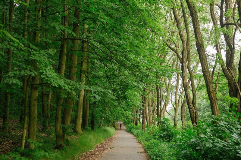 obrázek: Lepší správa zeleně v Praze. Všechna data nově na jednom místě