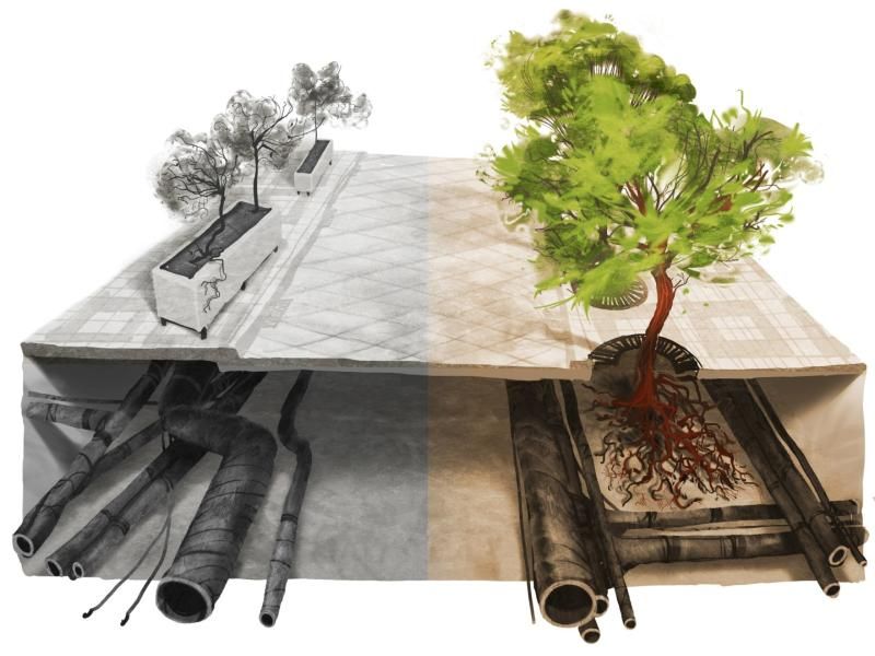 obrázek: Novela Pražských stavebních předpisů