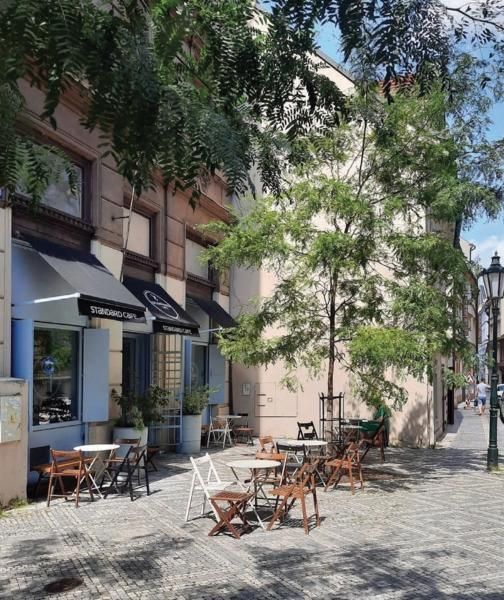 obrázek: Praha kultivuje předzahrádky v centru, obcházení pravidel už město nebude dále tolerovat