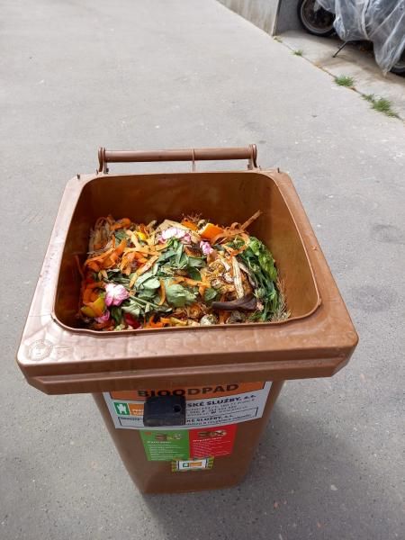 obrázek: Pražané stále lépe třídí bioodpad. Často ale do popelnic vyhazují i nesprávné suroviny včetně sáčků