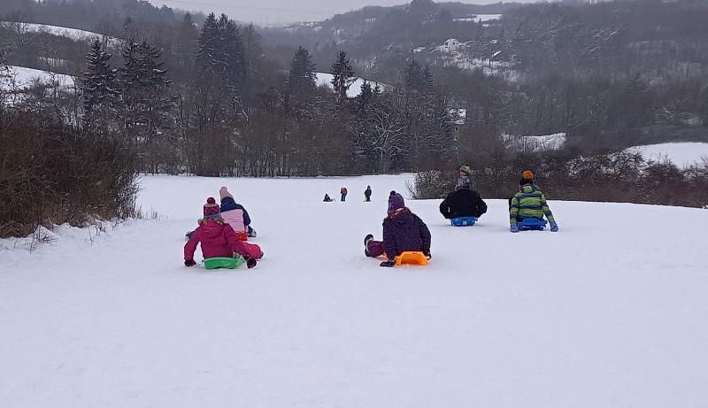 obrázek: Sáňkování a bobování je v Praze povoleno. Pražská příroda je v těchto dnech skvělé místo pro sport a zimní radovánky
