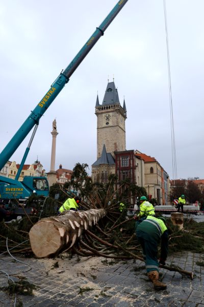 obrázek: Staroměstské náměstí zdobil šest týdnů, teď najde další využití. Větve z vánočního stromu udělají radost v zoo, kmen zpracují středoškoláci