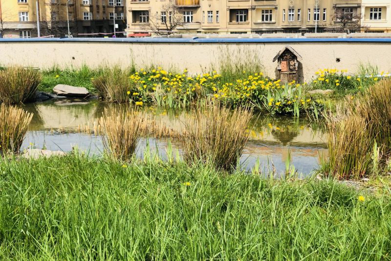 obrázek: Startuje již šestý ročník soutěže Adapterra Awards. Ocenění získá i projekt z Prahy