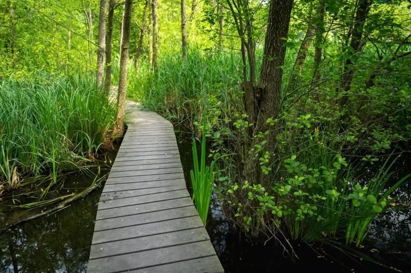 obrázek: Tři projekty ke zlepšení životního prostředí na území Prahy postupují do finále celostátní soutěže Adapterra Awards