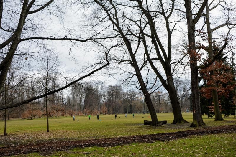 obrázek: Úprava volného pohybu psů se v chystané novele vyhlášky nemění