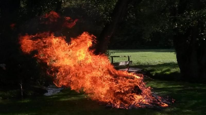 obrázek: V Praze platí od 19. července do odvolání zákaz rozdělávání ohňů na rizikových místech