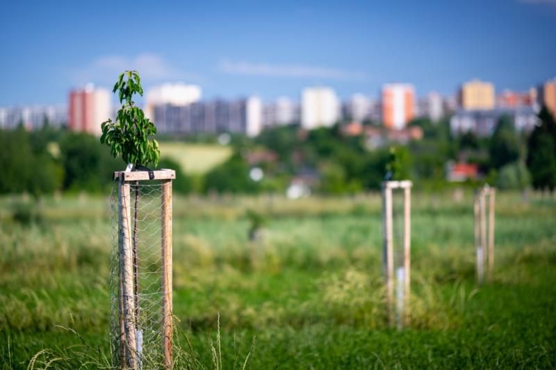 obrázek: Víte, jak na klima? Přihlaste svůj nápad do soutěže Adapterra Awards