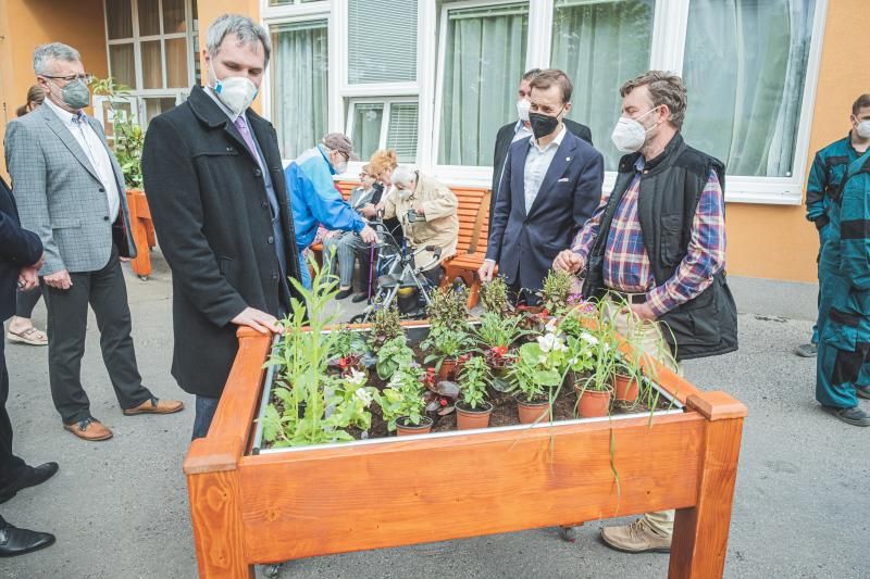 obrázek: Z vzrostlého vánočního smrku se staly lavičky a záhony pro domov seniorů