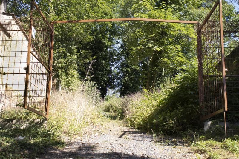 obrázek: Zaniklý bubenečský hřbitov Na Skalce čeká obnova