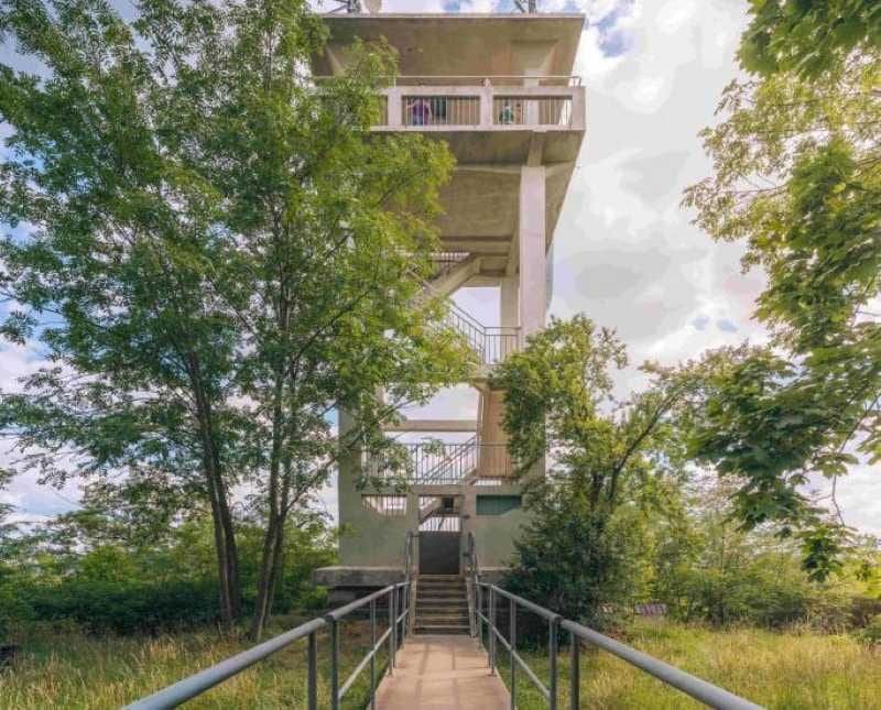 Beroun připravuje obnovu lesoparku na Městské hoře, vzniká nová krajinářská studie