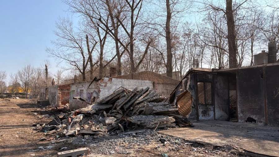 Braník: z chátraliště vznikne park s třicítkou stromů a grilovištěm