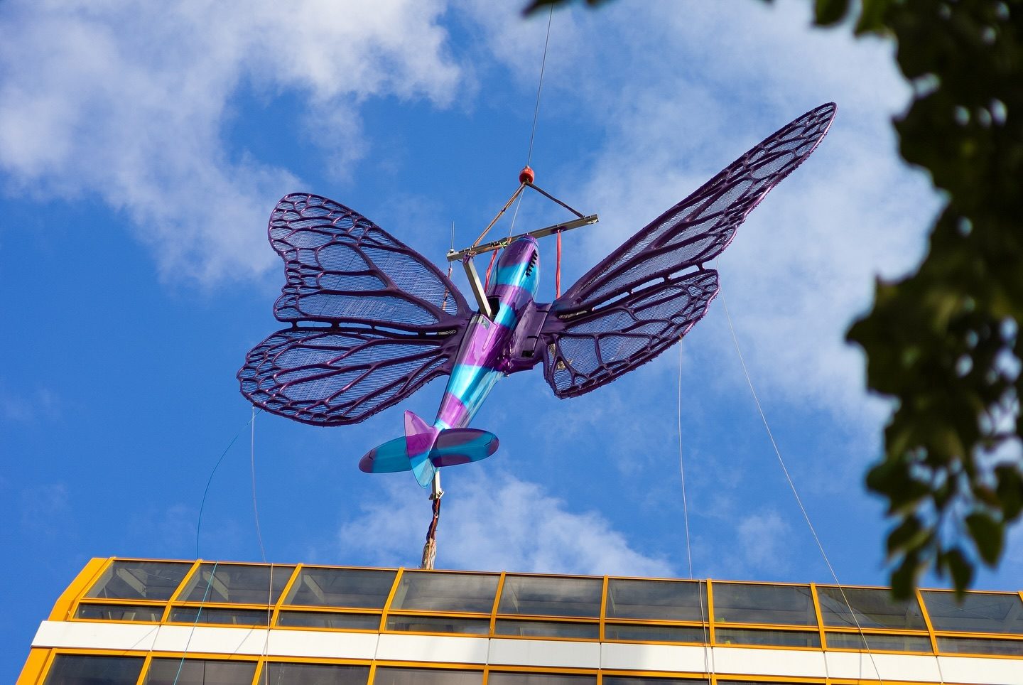 Motýli zůstanou na Máji