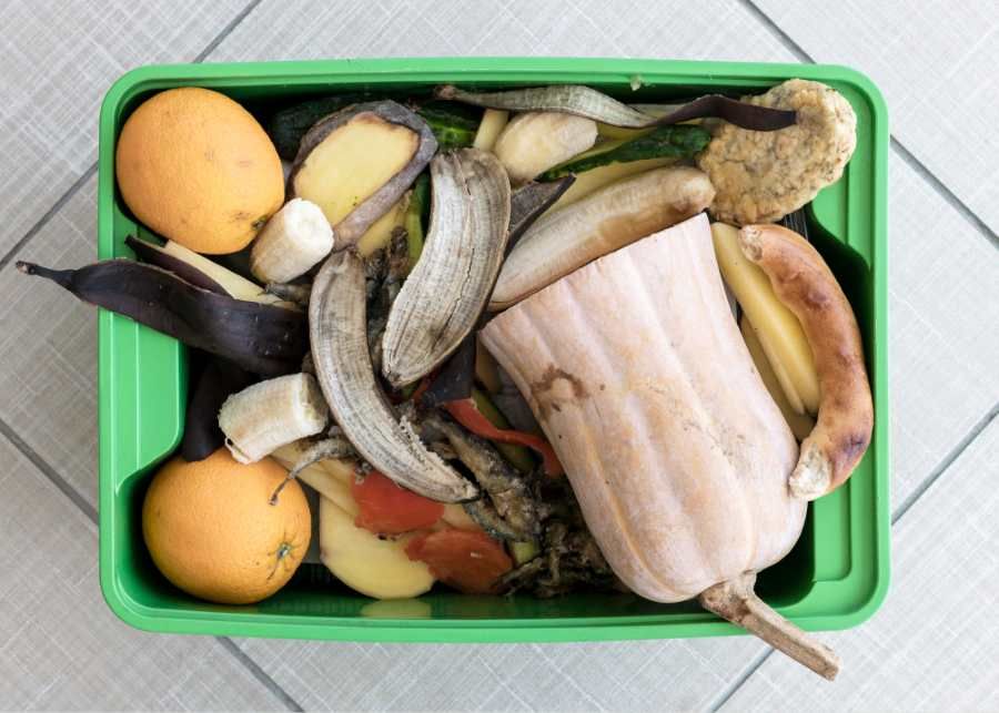 Pražané ročně vyhodí 26 kg jídla: Nenechme plýtvat jídlem!