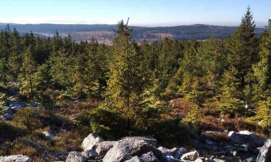 Vrch Kočka v Brdech nově chrání unikátní kambrické fosilie