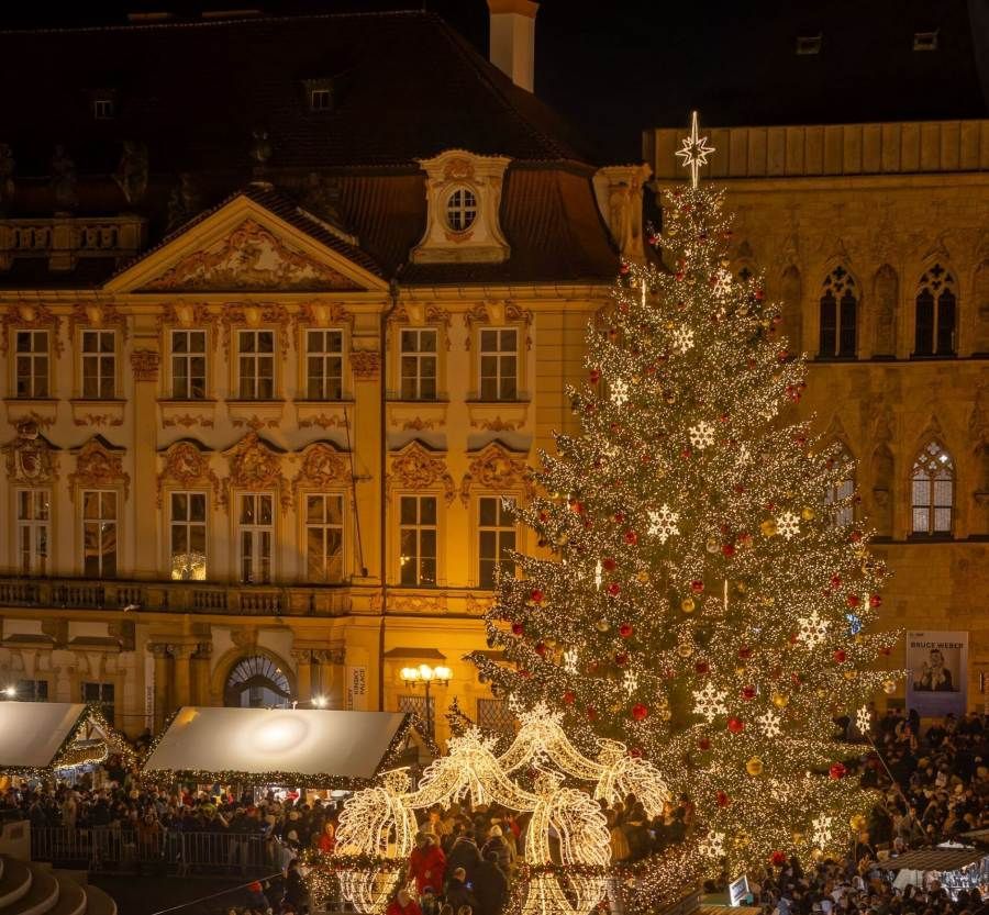 Praha hledá vánoční strom pro Staroměstské náměstí. Tipy mohou lidé posílat do 15. září