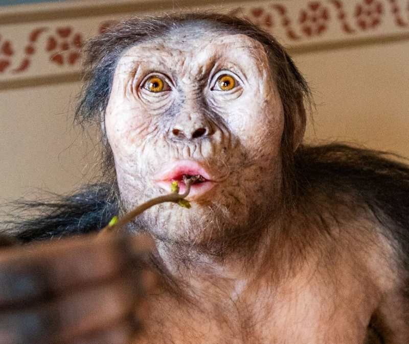 Praha odhaluje tajemství lidské evoluce: fosilie Lucy a Selam poprvé v Evropě