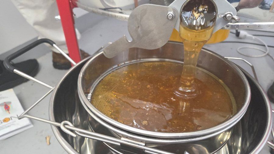 Včely ve vozovně Vokovice letos vyprodukovaly 110 kilogramů medu. DPP pokračuje v podpoře biodiverzity