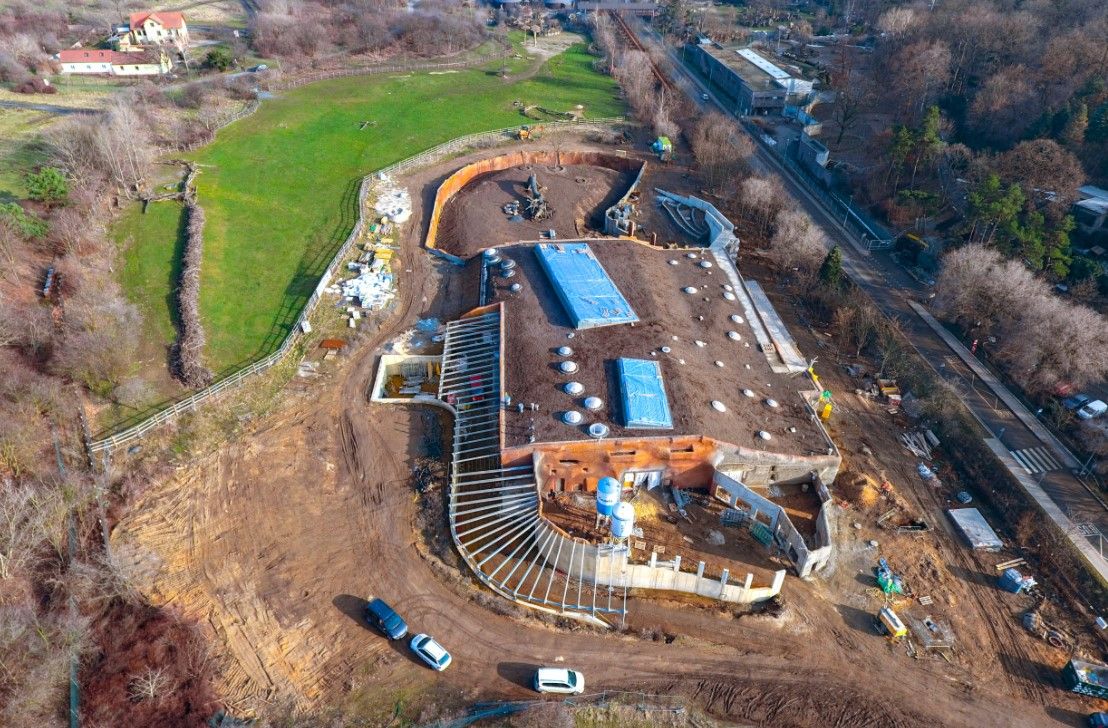 obrázek: Bohatý rok 2021 v Zoo Praha