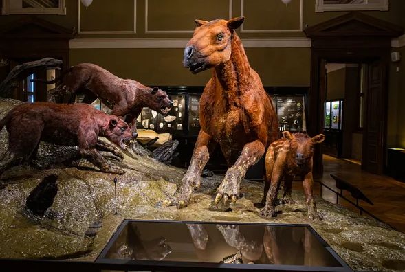 obrázek: Národní muzeum otevírá Okna do pravěku