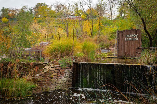 Praha pomůže své zoo se ztrátami
