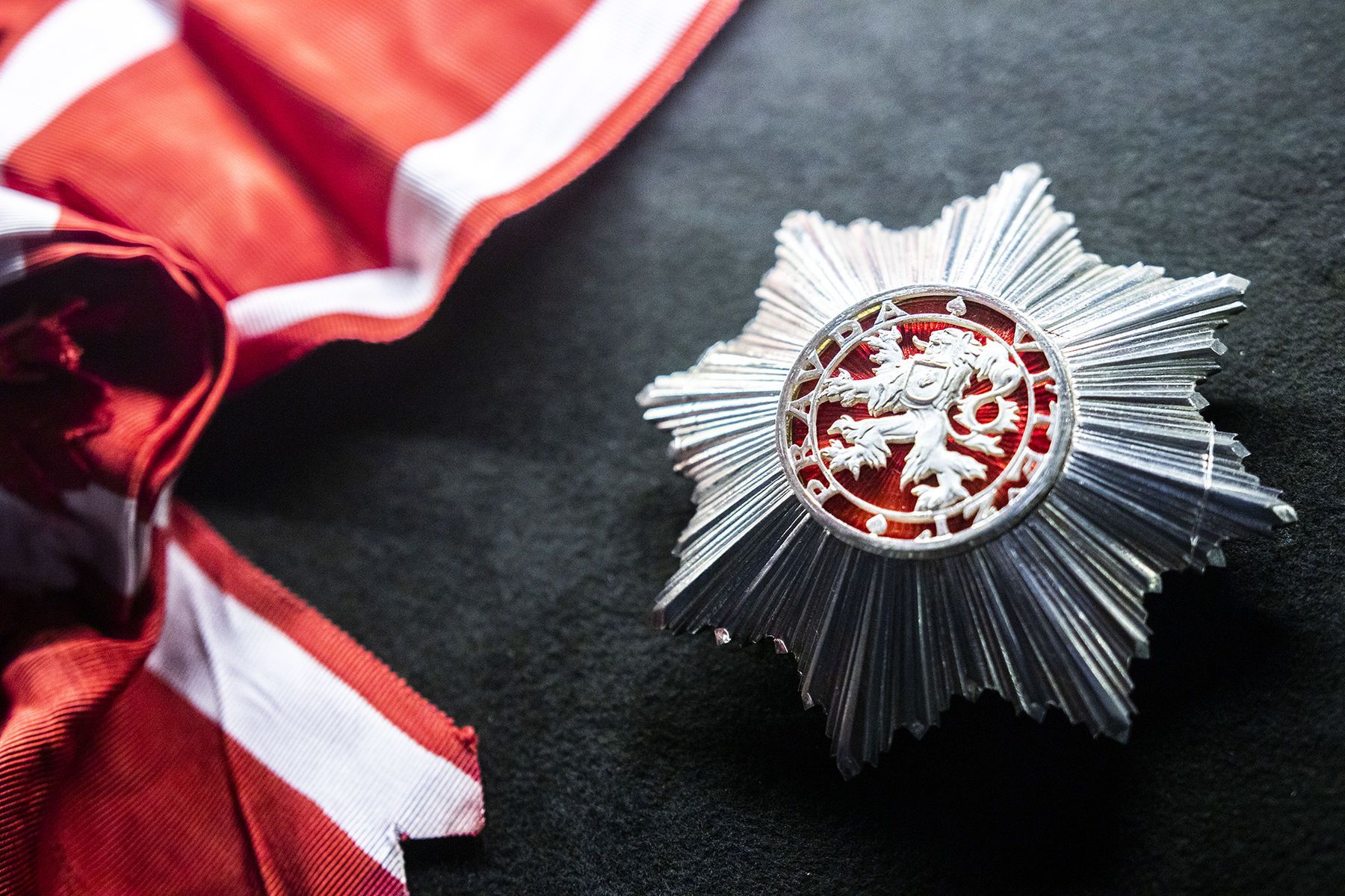 obrázek: Seznamte se v Národním muzeu se symbolem českého lva