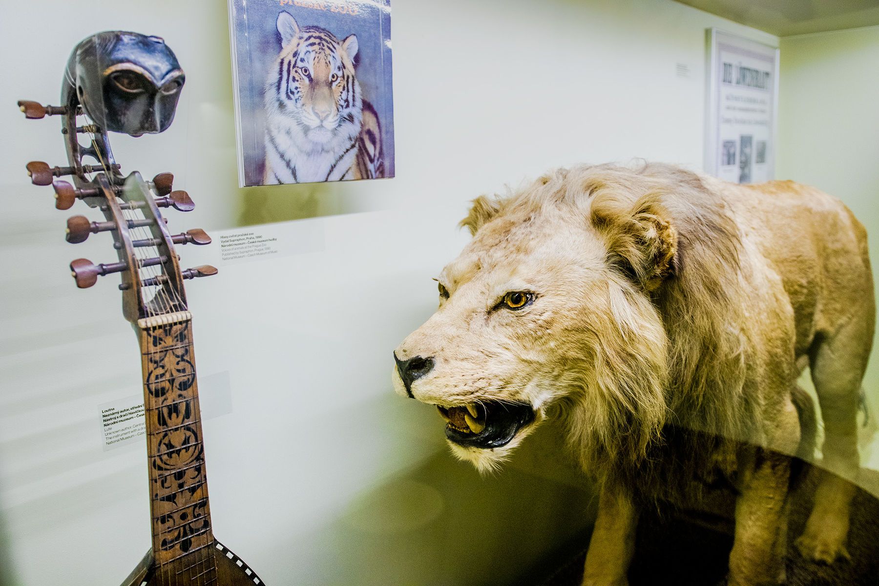 obrázek: V Českém muzeu hudby už na vás čeká Hudební zvěřinec