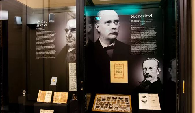obrázek: V nové výstavě si projdete Národní muzeum od sklepa po půdu
