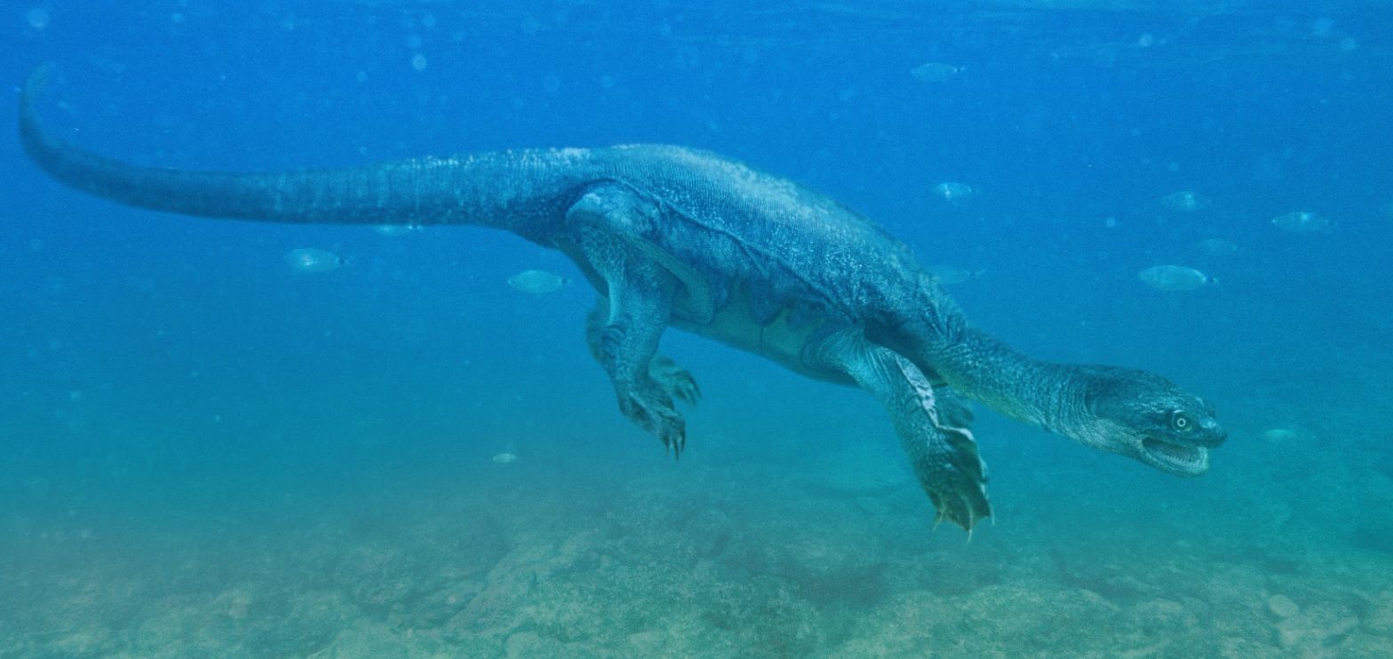 obrázek: Zoo Praha získala unikátní živoucí fosilii, želvovce strašného