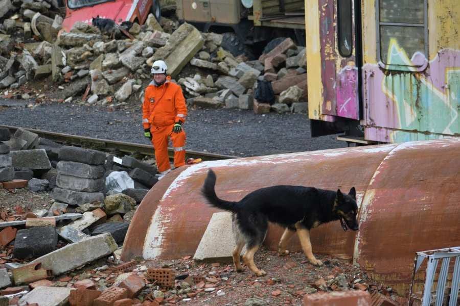 Hasiči z Prahy trénovali se služebními psy v Roháčích