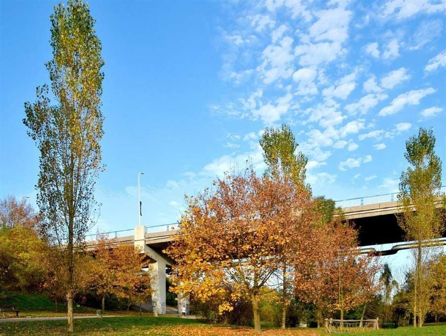 Kladno schválilo rozpočet 3,65 miliardy, hlavními investicemi jsou Sítenský most, náměstí Svobody a kulturní centrum