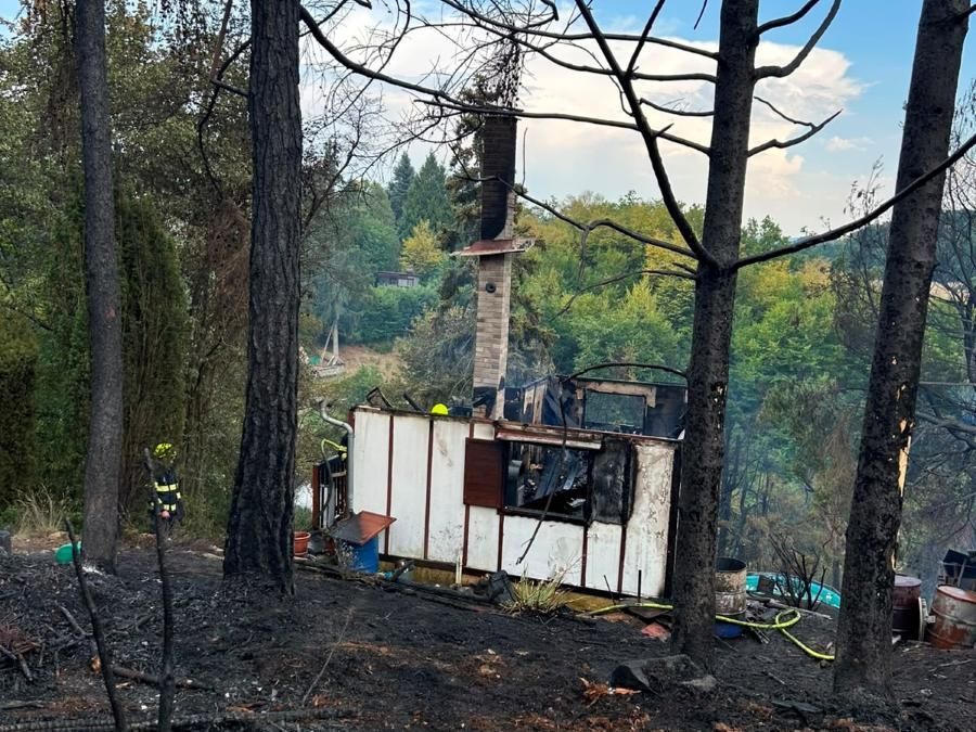 Rozsáhlý požár u Křečovic zaměstnal desítky hasičů. Oheň zasáhl téměř pět hektarů lesa