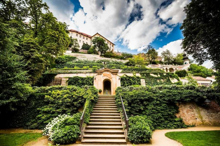 Pražský hrad jako městská oáza: stovky druhů organismů a dosud neznámý roztoč