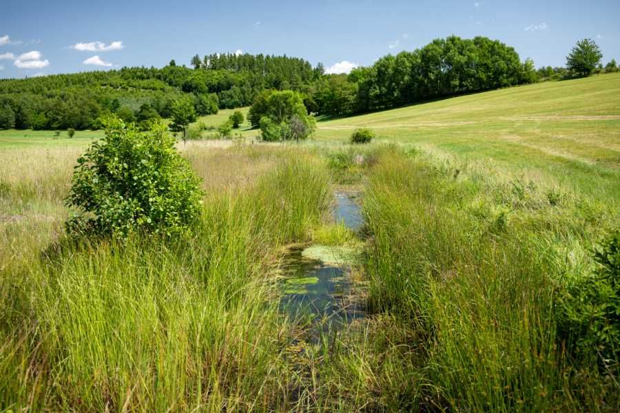 Revitalizace řek v Moravskoslezsku: Návrat k přírodě brzdí majitelé pozemků