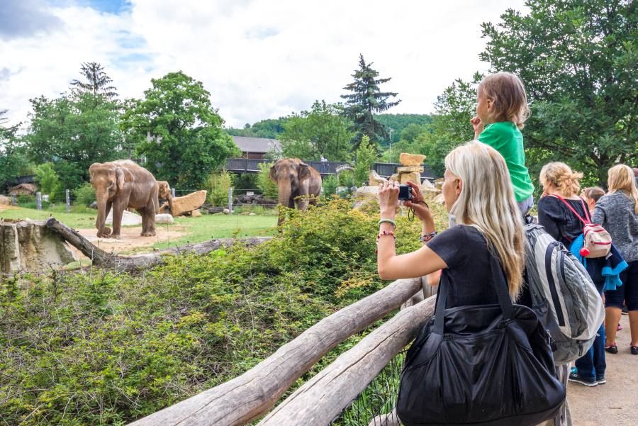 Zoo Praha nabízí prázdninovou podvečerní vstupenku za 100 Kč, platí denně mezi 17:00 a 19:00
