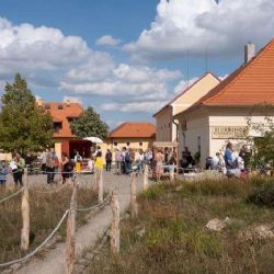 Praha dá na zlepšení životního prostředí 40 milionů korun, připraveno je 130 projektů