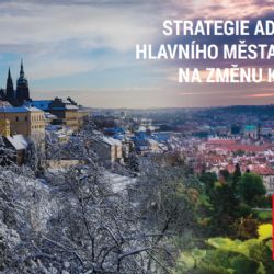 Praha dokončila 57 projektů pro adaptaci na změnu klimatu v hodnotě 377 milionů korun