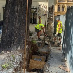 Praha obnovila narušenou zeď v centru města bez nutnosti pokácet jedinečný strom