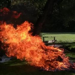 V Praze platí od čtvrtka 23. června do odvolání zákaz rozdělávání ohňů na rizikových místech