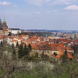 Více peněz na kultivaci cestovního ruchu. Hlavní město uzavře memorandum s hoteliéry na jeho podporu
