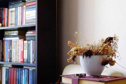 obrázek:Jak zařídit domácí knihovnu?