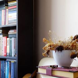 Jak zařídit domácí knihovnu?