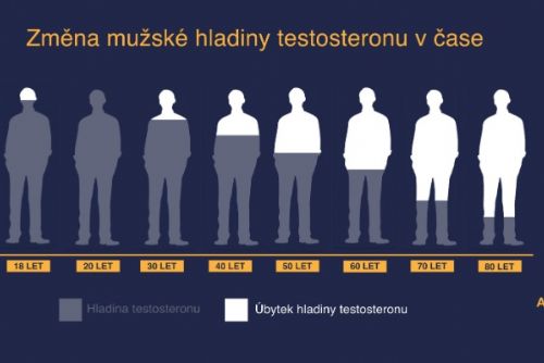 Obrázek - 