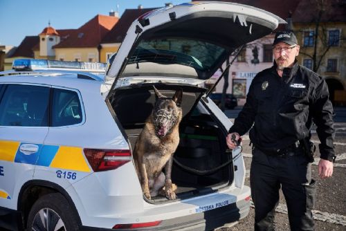 obrázek:Slaný rozšiřuje kamerový dohled. Městská policie pořídí mobilní kamery a obnovuje psovody