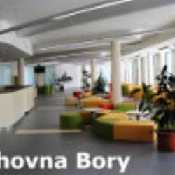 Výstava Romano Suno