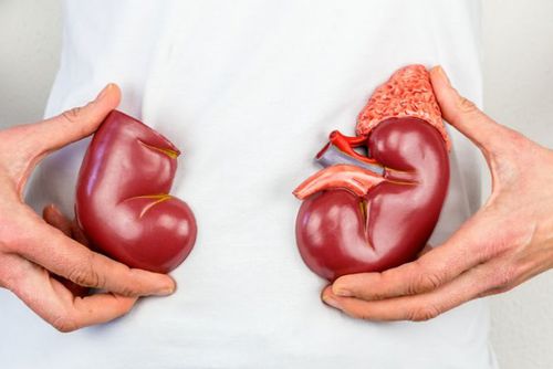 obrázek:Pražský IKEM láme rekordy s 341 transplantacemi ledvin